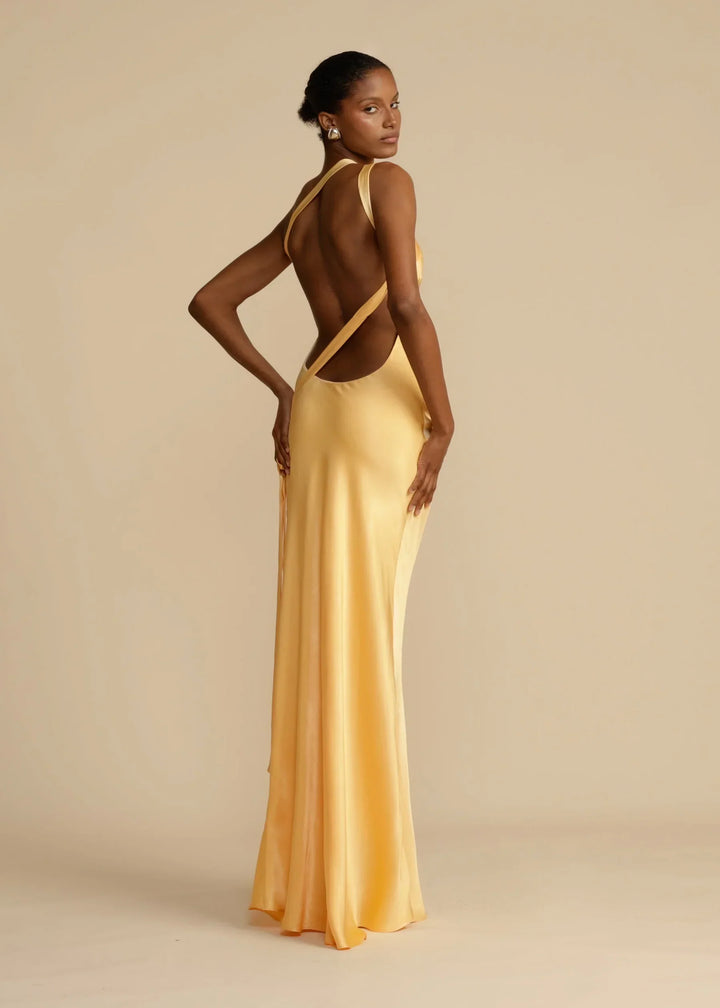 Rosea Longline Evening Dress
